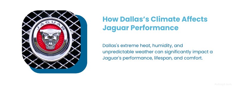 Ultimat Jaguar underhållsguide för Dallas, TX:Experttips och lokal vård 