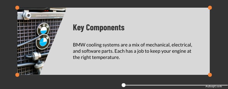 Expert BMW Cooling System Service in Dallas &Plano, TX 