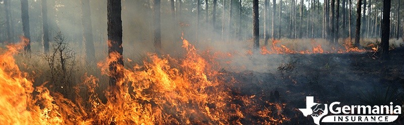 Att förstå orsaker till skogsbränder och snabb spridning:nyckelfaktorer och förebyggande 
