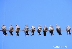 5 hot mot din bils lack i Scottsdale (och hur man håller den glänsande) 