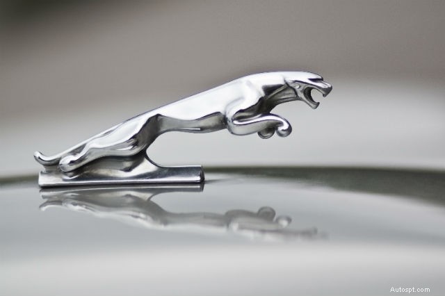 Från ikoniska accenter till sällsynta skatter:The Story of Car Hood Ornaments 