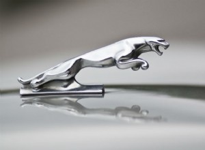 Från ikoniska accenter till sällsynta skatter:The Story of Car Hood Ornaments 