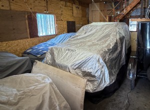 Kraftig bilskydd med inbyggt musavskräckande 